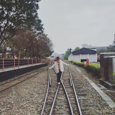 tree hole_GF的沙龍