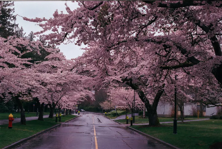 Photo by Atul Vinayak on Unsplash