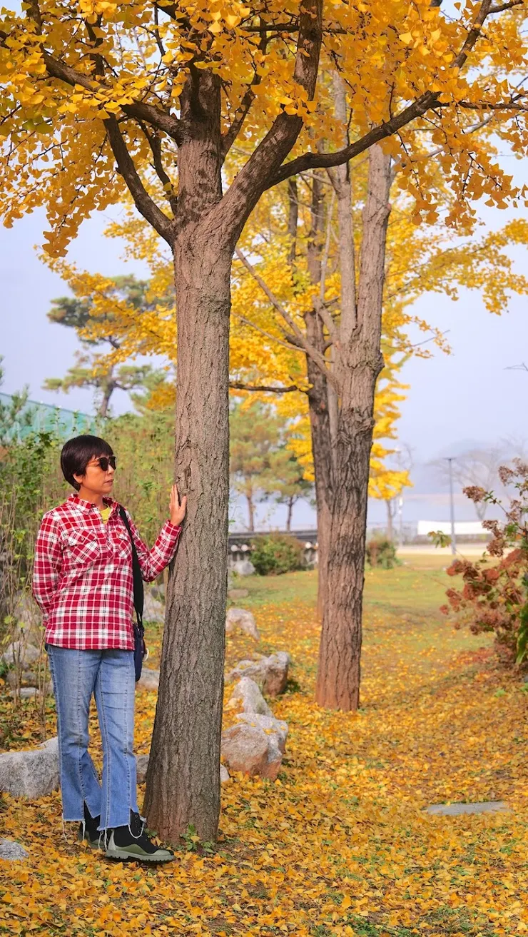 生態公園秋天景色