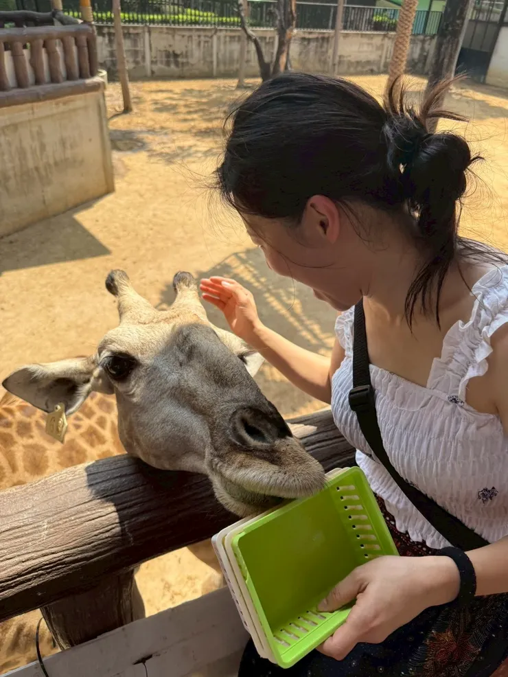 能那麼親近長頸鹿真的療癒了我！