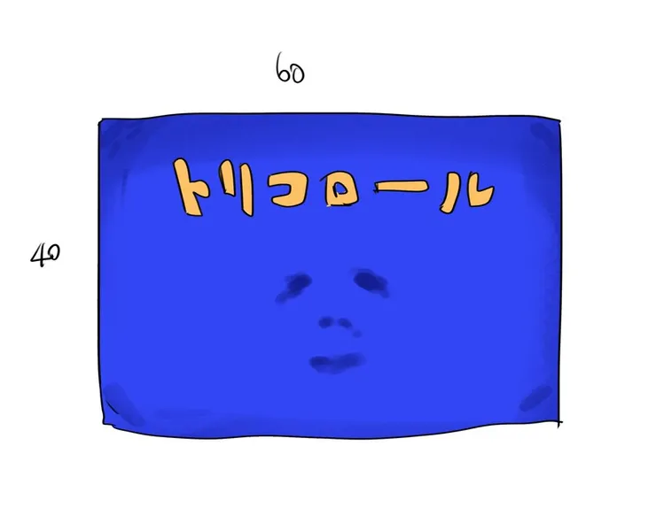 老師畫的枕頭套示意圖。拜託快做！！