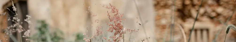 日常探險攝影師的沙龍