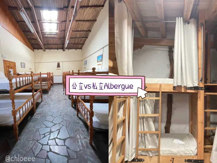 公立私立庇護所