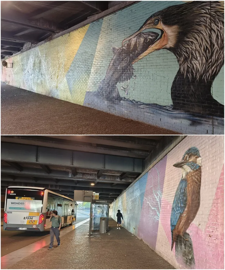 【往安特衛普-貝爾克姆車站鐵軌下過道牆的塗鴉】