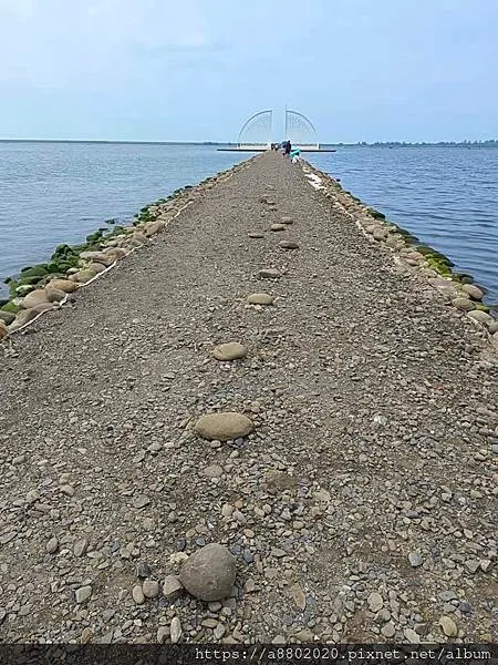 通往生命之樹的步道