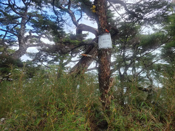 志摩山西峰，要來到這裡還真是不容易