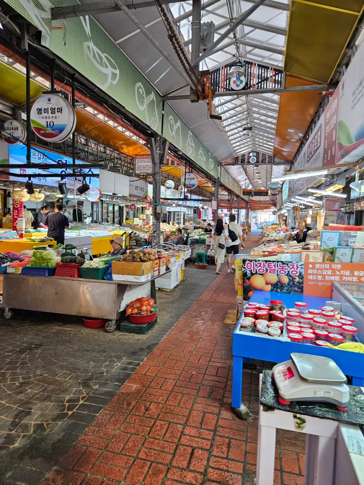 濟洲島東門市場