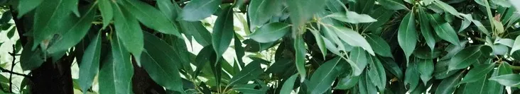 the wild buff土土野青的沙龍