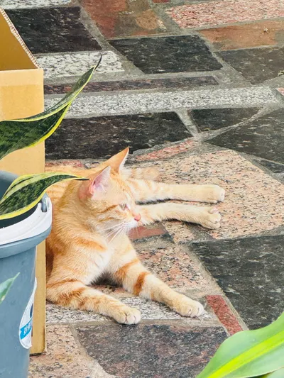 我與AI的對話：在物業管理方面，人是企業的靈魂嗎？