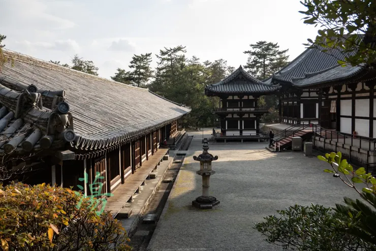 認真的繞了一圈。