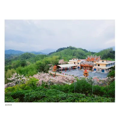 高雄 | 美濃 | 獅形頂、朝天五榖宮