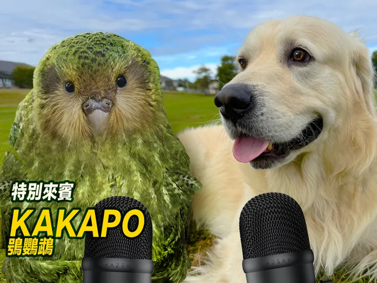 訪談KAKAPO