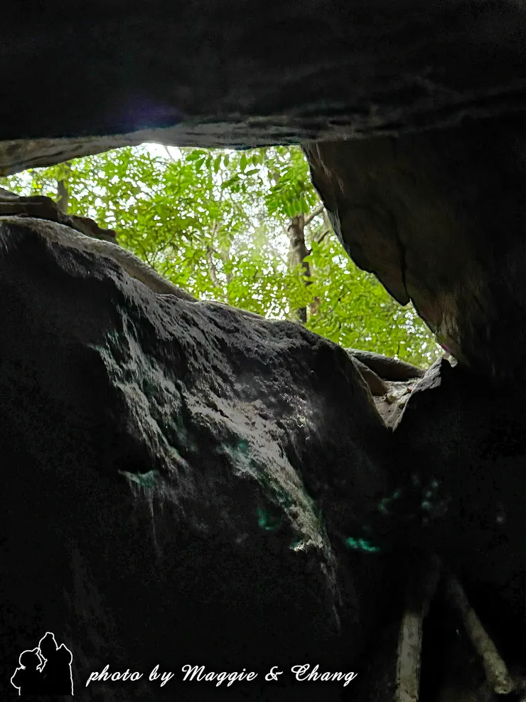 石洞內抬頭可見外面的樹林