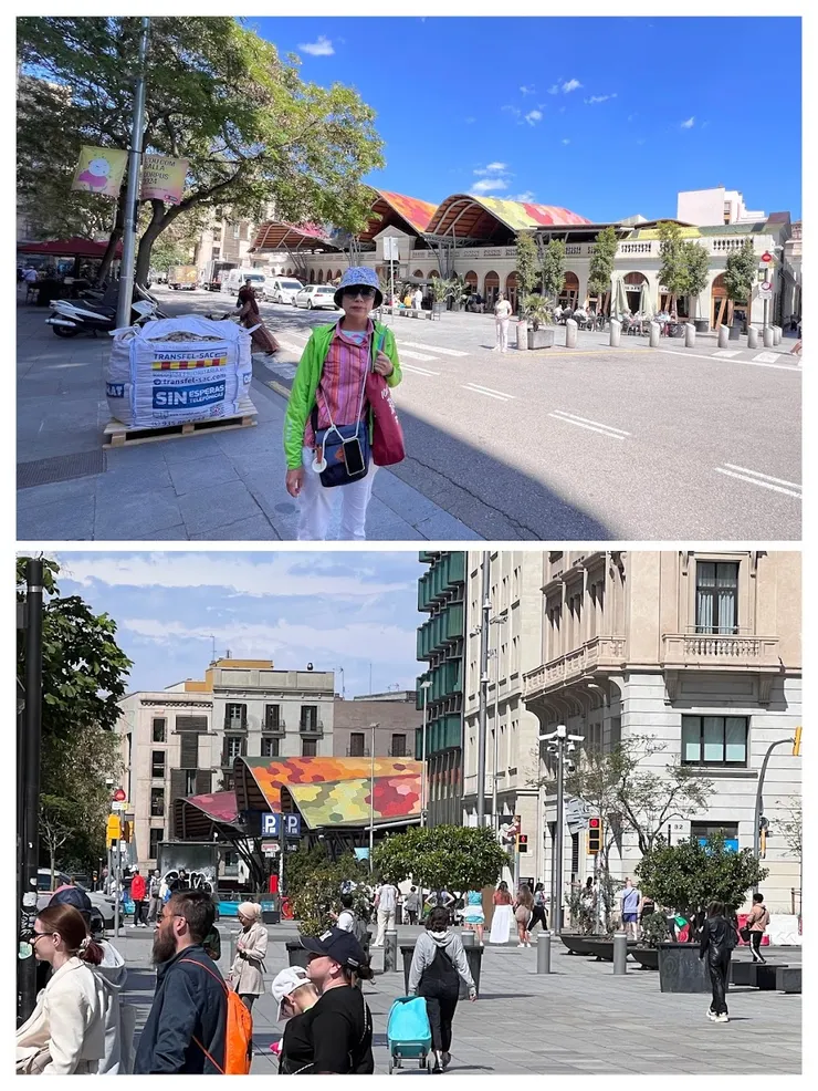 聖卡特琳娜市場波浪狀的彩色屋頂