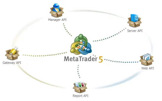 MetaTrader 5