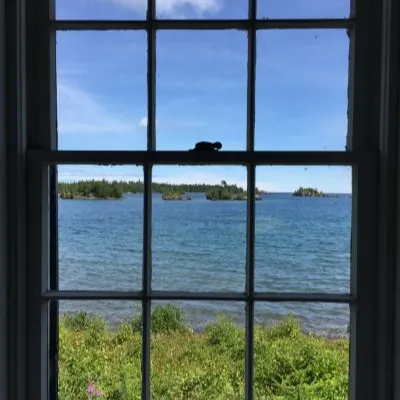 史考特 D的沙龍