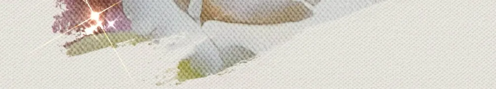 偶然的自由的沙龍