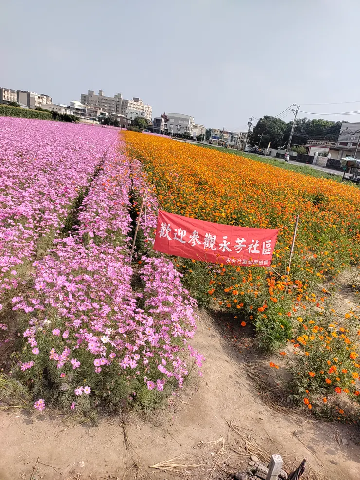 永芳花海區