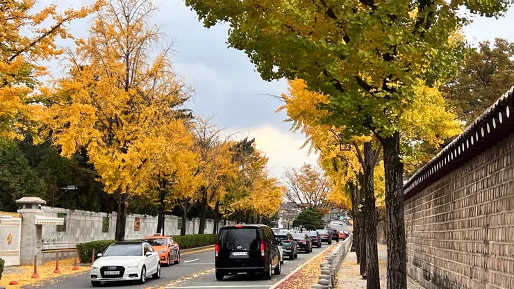 景福宮東側石牆路