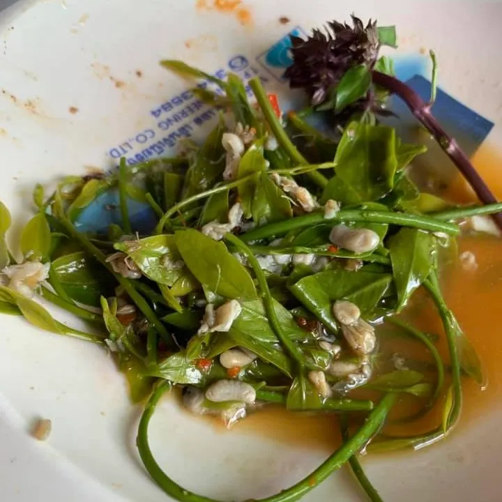 2019年去泰國找朋友，跟他一起吃他家鄉東北菜（isan）的螞蟻蛋湯