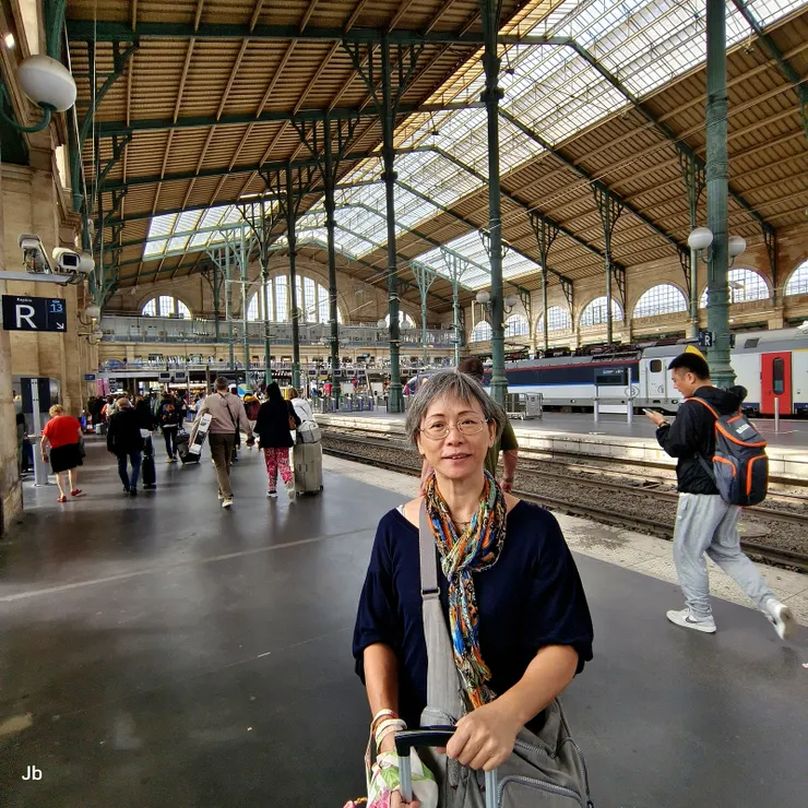 【子彈列車里爾到巴黎才一小時！在北站下車。】