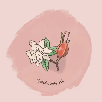 梔子花開的沙龍