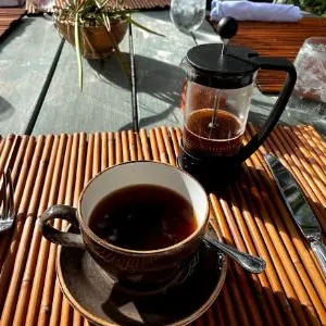 勇健安─勇敢健康安全的沙龍