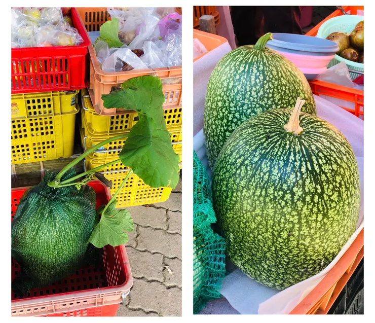 市集裡的「北瓜」
