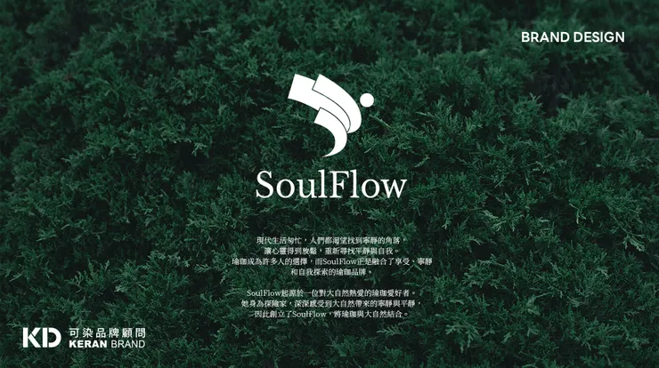 可染品牌設計作品