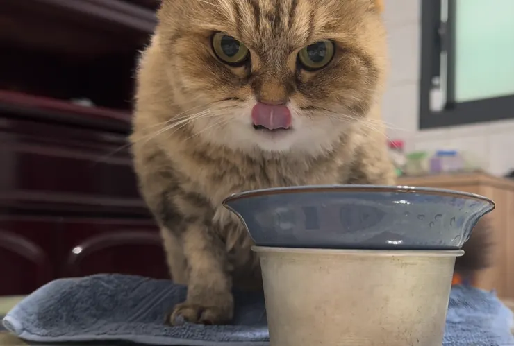 節錄自2025/6/8早上9:10的影片