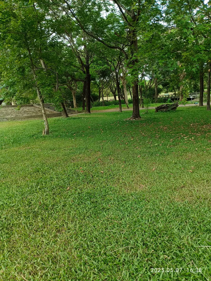 庭暗鳥飛嬈，自拍攝
