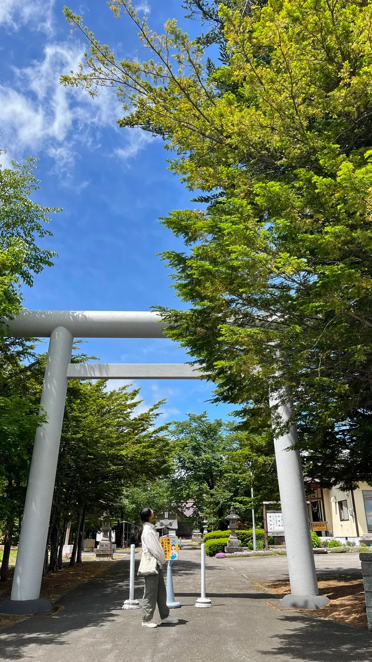 藍天下顯得更亮眼。