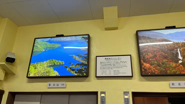 春、秋是完全不同風情。