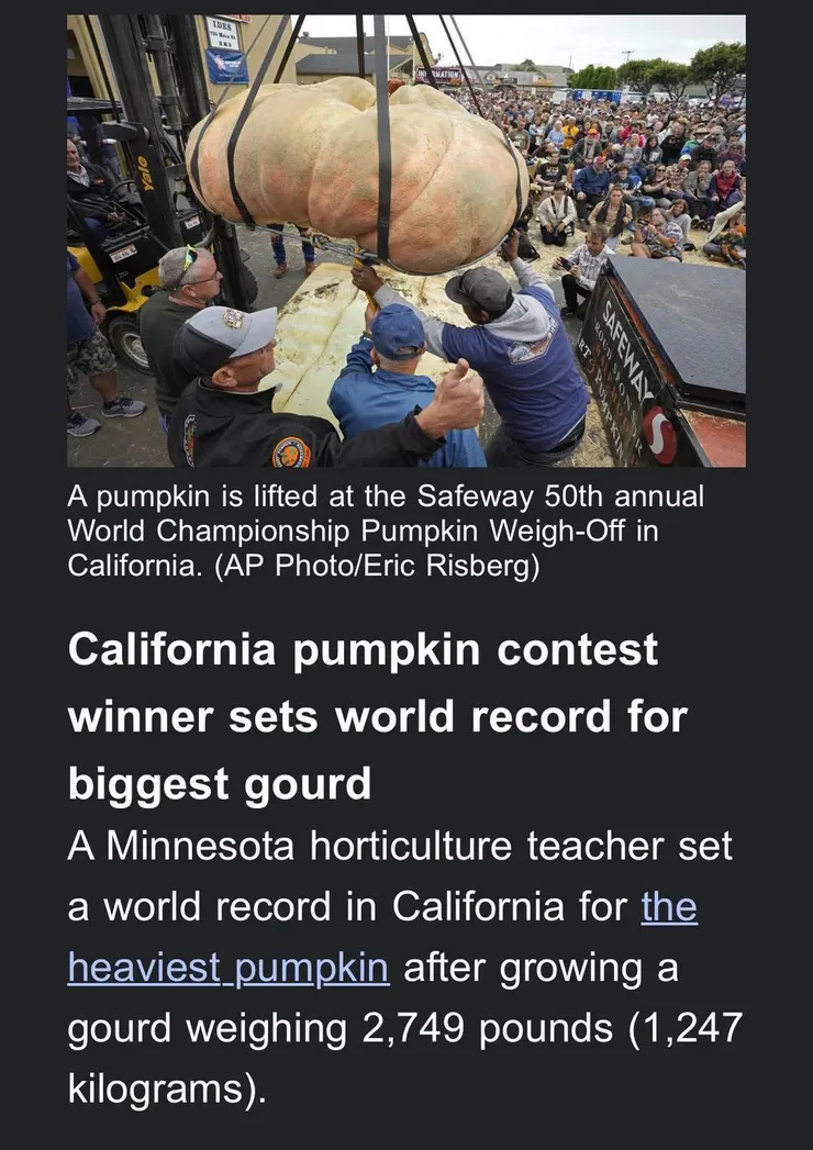 圖文擷取於The Associated Press網站