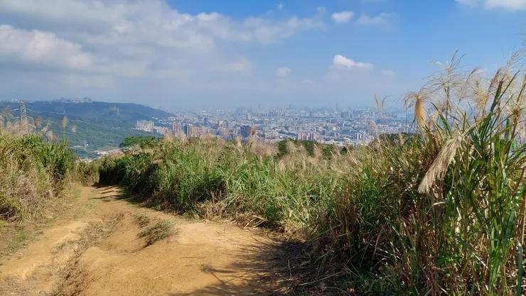 宏觀城市示意(三角埔山上)