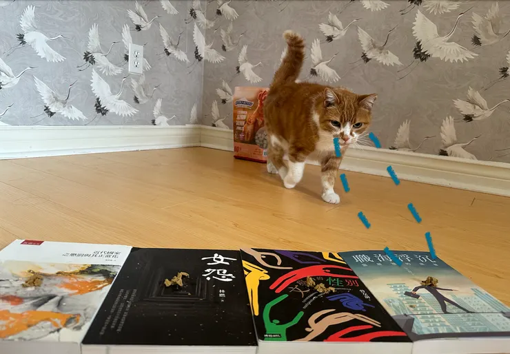 總算邁開堅定的步伐開始選擇，並且目光如炬