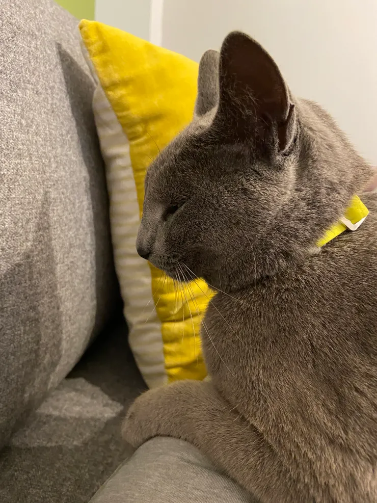 「你看他那時候還會坐在我腿上」阿珍說道。