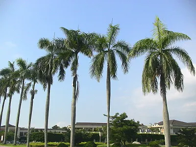 src