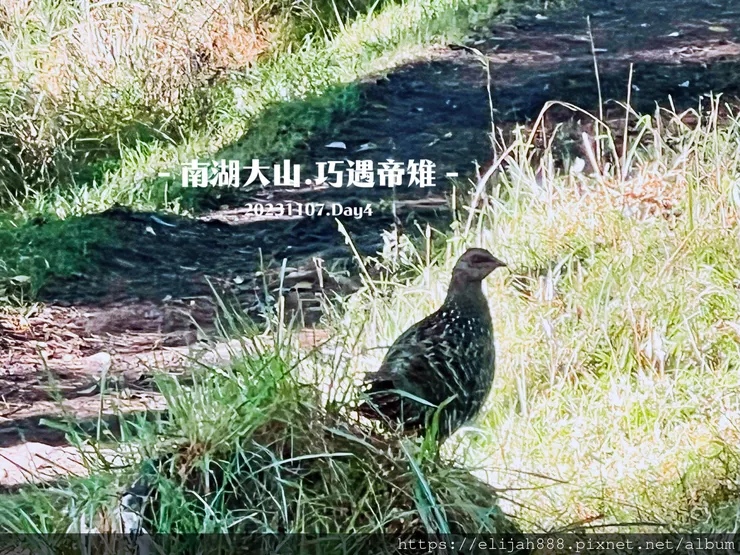 【帝王之山4天3夜】南湖大山之多加屯山/方便屋洗漱/最終日/