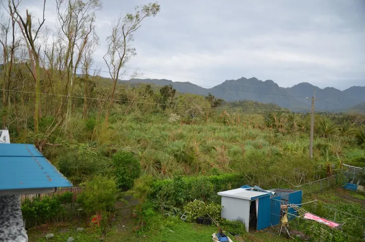 工具間的鐵板屋頂飛了