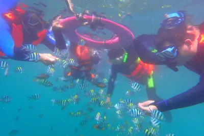 長大想成為-數學老師