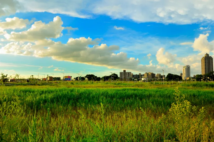 【伏低仰看市廛邈遠草原何遼闊】