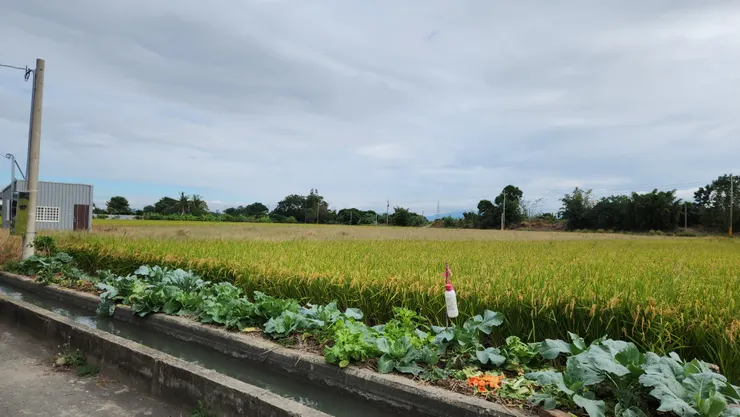 由於這次有時間上的壓力，與其說是想釣到魚倒不如說是想要嘗試在不同的地方作釣，既然目的已經達成，那麼中不中魚也不是那麼重要了。回程時走小路回台中，發現很多好玩的路線。看來我在近期內應該會再來這一帶騎車。