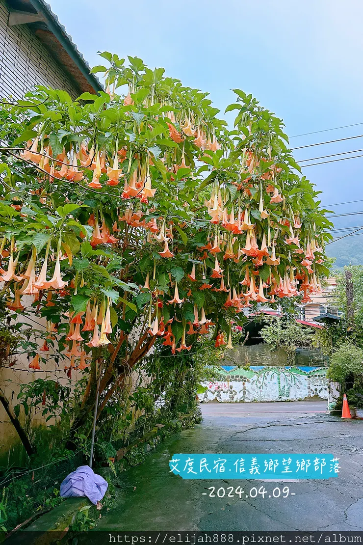 【玉山主峰西峰.兩天兩夜】南投縣信義鄉的望鄉部落艾度民宿/塔