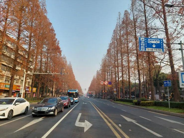 總統府附近的太平北路