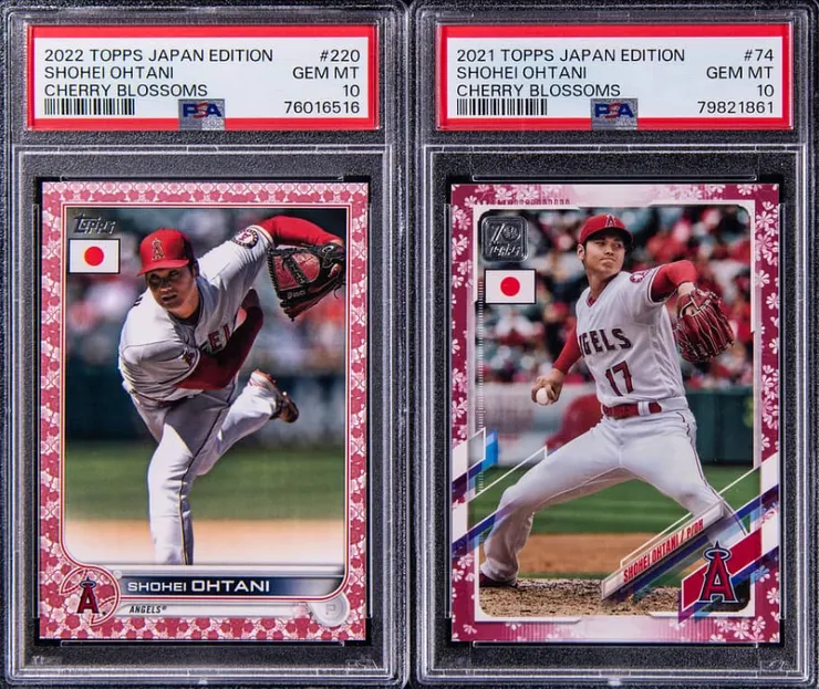 2022/21 櫻花平行