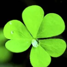 幸傳媒-美食旅遊生活誌的沙龍