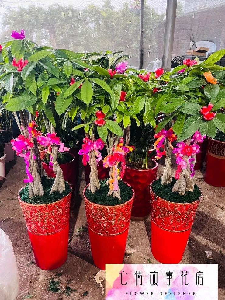 心情故事花房開工大吉！感謝支持，訂單滿滿，服務更升級！