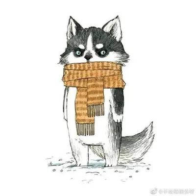 二哈的閱讀坊的沙龍