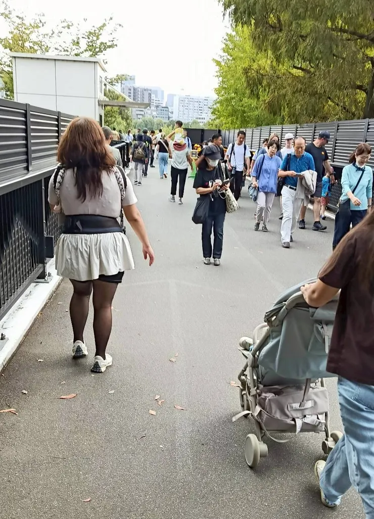 這次回橋我們改坐電梯....太累了